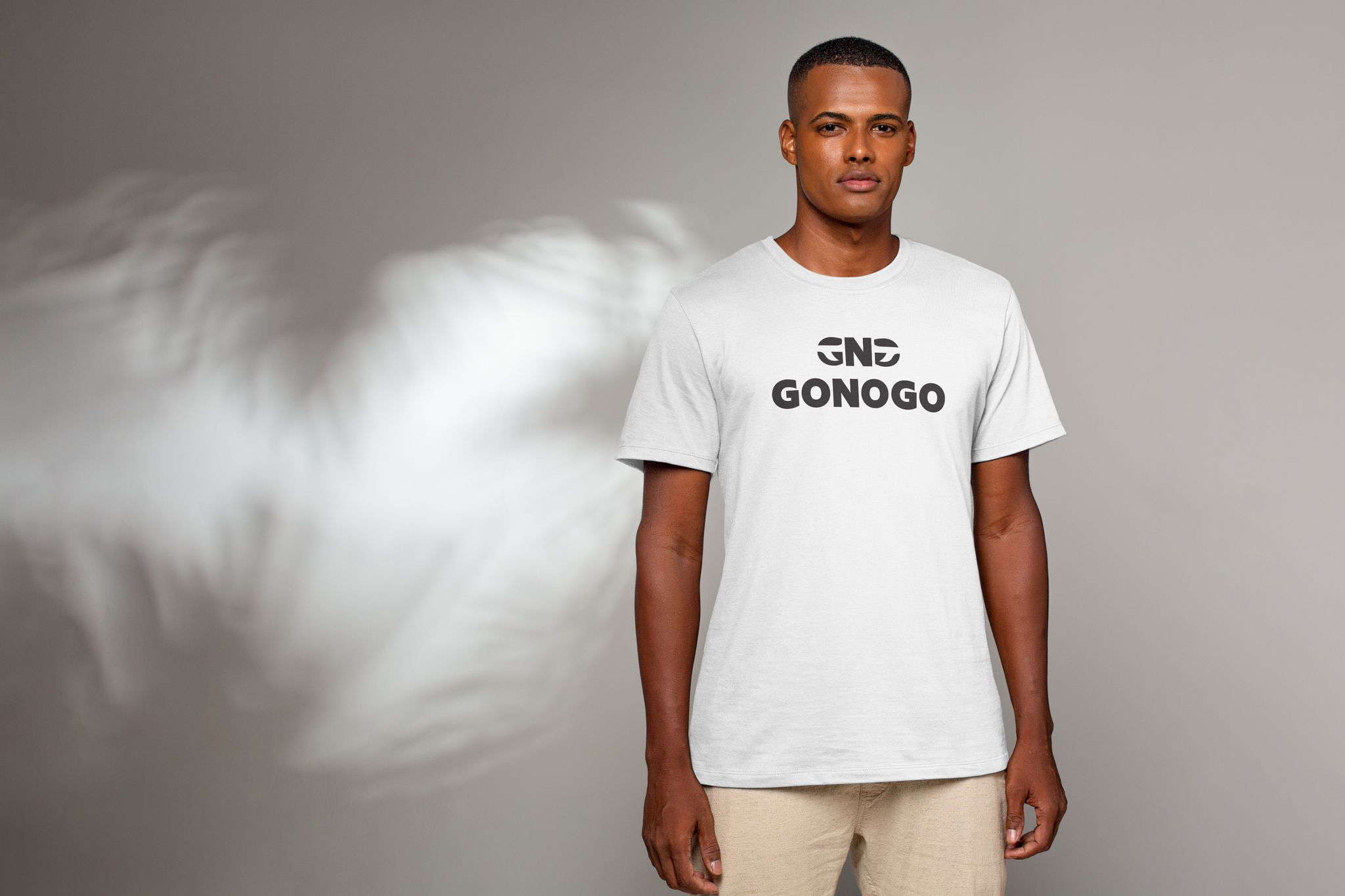 GoNoGo Provisions